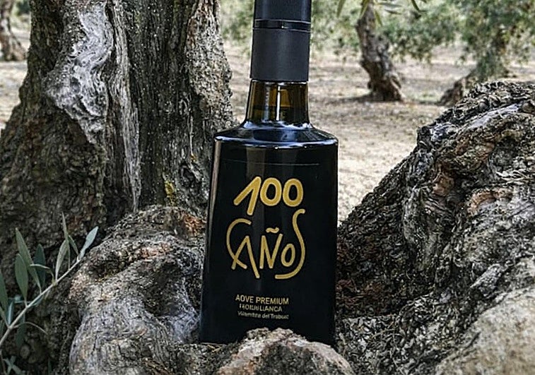 100 Caños EVOO: the early harvest hojiblanca that is among the best in Spain