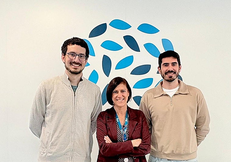 Malaga researchers develop 'smart sponge' technique to diagnose amoxicillin allergy