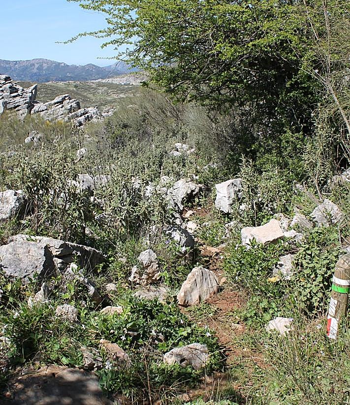 Imagen secundaria 2 - The access to the route, that can no longer be completed due to a landowner withdrawing permission..