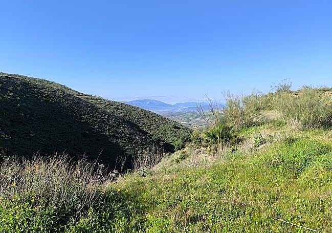 View from the surroundings of the La Carihuela winepress