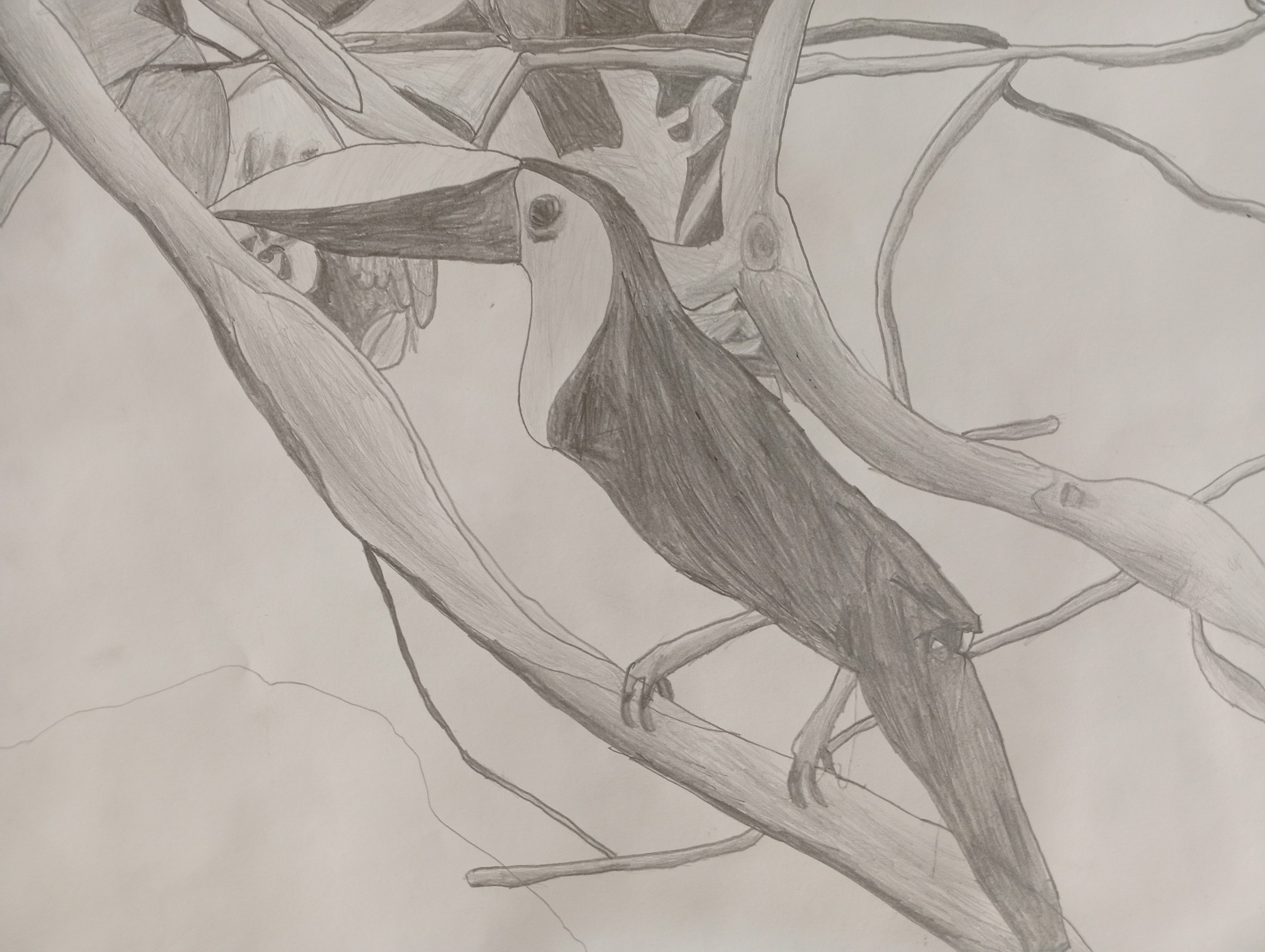 Daniel, age 10. Laude San Pedro International School