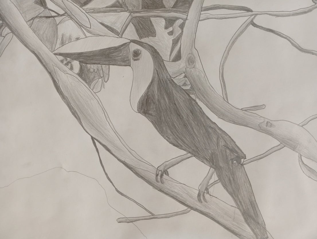 Daniel, age 10. Laude San Pedro International School