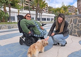 New pet ownership regulations and dog leash laws in Almuñécar: a guide to fines and compliance