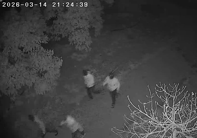 Wave of burglaries targets rural houses and farms in Vélez-Málaga