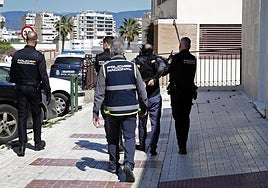 Costa del Sol court provisionally imprisons suspect in elderly man's death