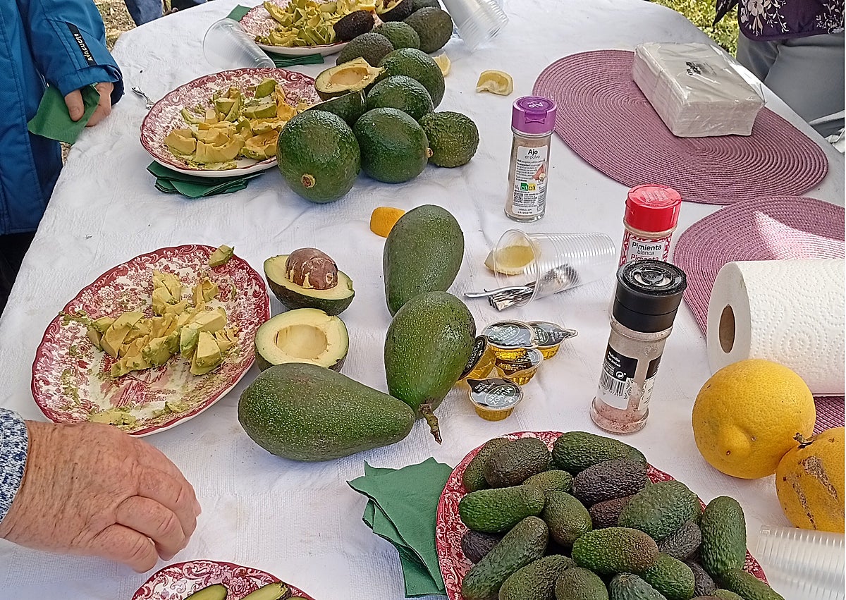 Imagen secundaria 1 - The grou poutside the Trops cooperative, different types of avocados during the tasting session, walking through the plantation