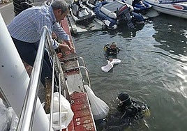 Image of a previous cleaning campaign in the Virgen del Carmen Marina.