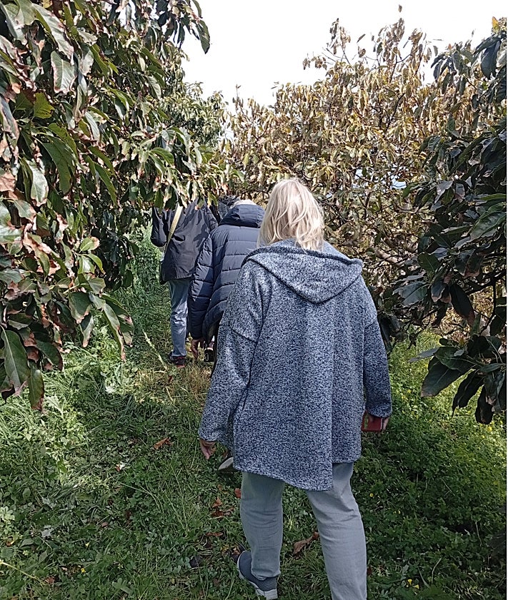 Imagen secundaria 2 - The grou poutside the Trops cooperative, different types of avocados during the tasting session, walking through the plantation