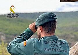 A Seprona officer on patrol in the Spanish countryside.