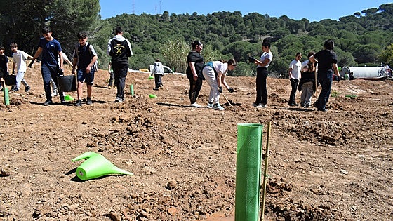 Birds, bats and beasties gain a helping hand in this inland Malaga town