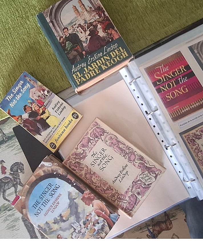 Imagen secundaria 2 - The secret Alhaurín de la Torre museum dedicated to a cult British Western