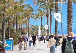 Average hotel occupancy for Marbella stood at 51.4 per cent in February, with a total of 31,909 guests.