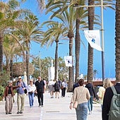 Average hotel occupancy for Marbella stood at 51.4 per cent in February, with a total of 31,909 guests.