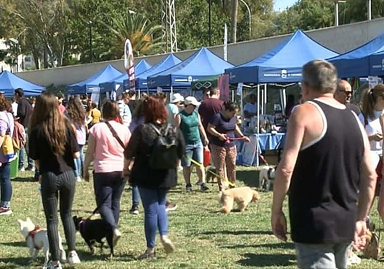 Fuengirola to host 15th canine day event in support of charity programme
