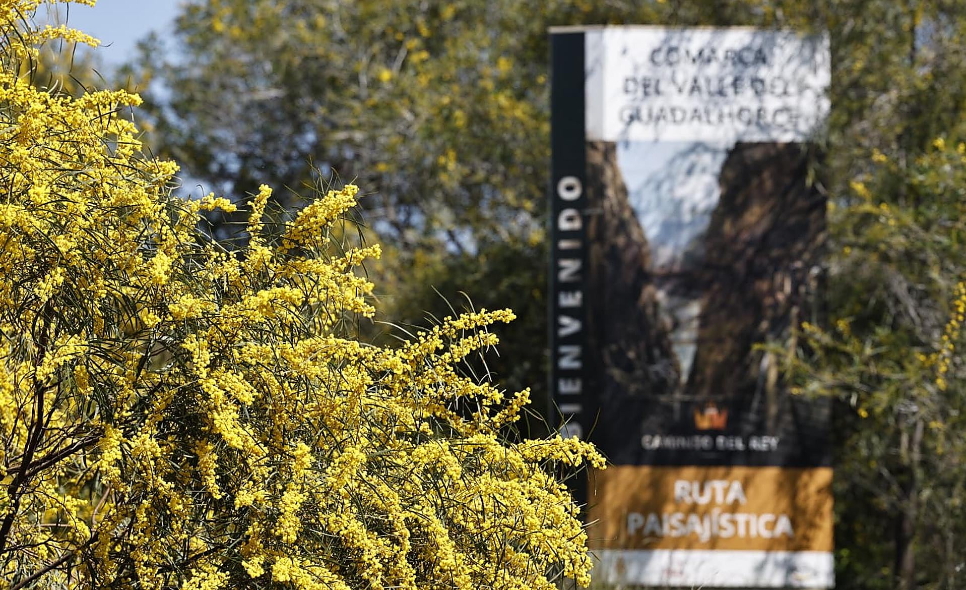 Scroll Story imagen 2