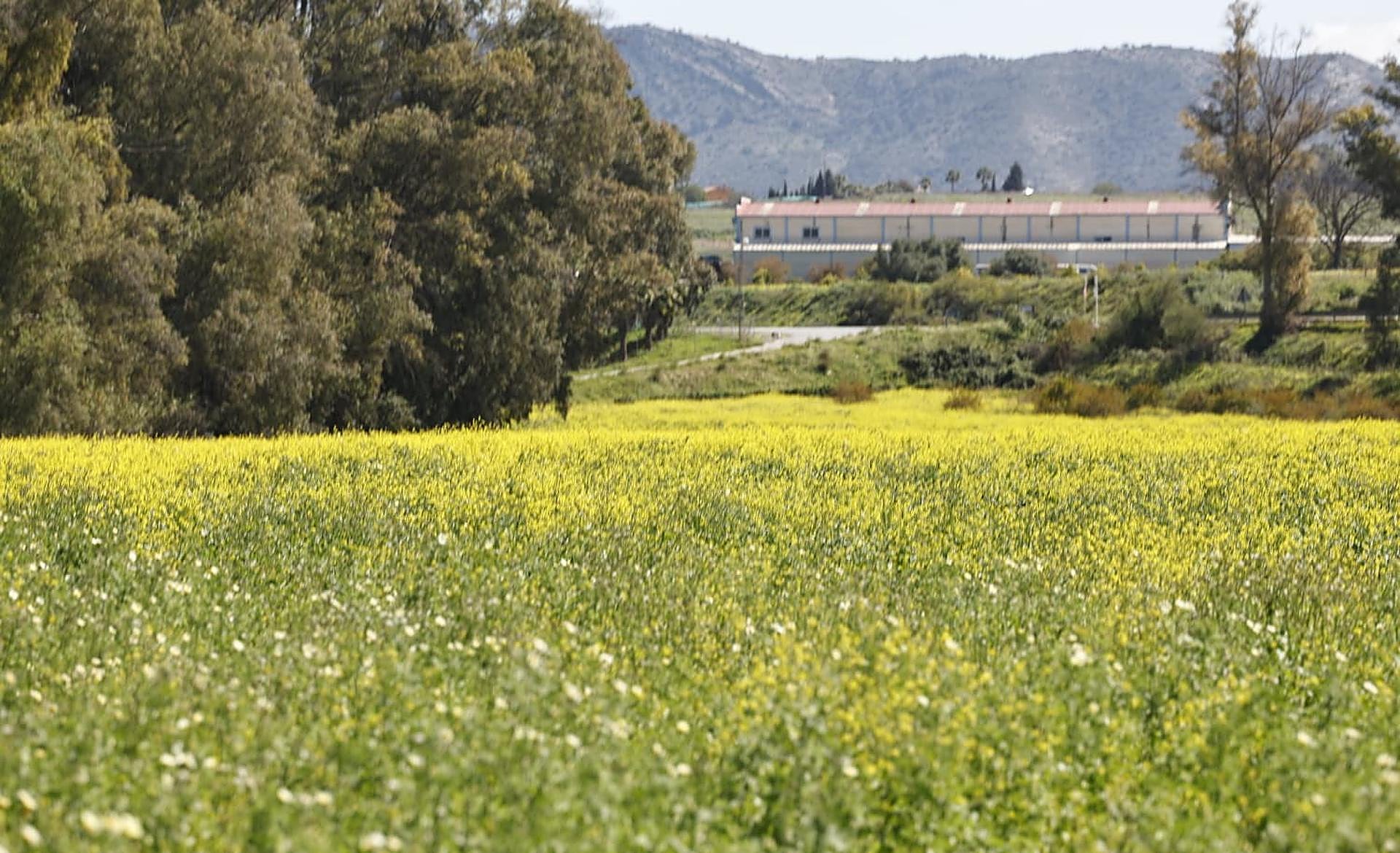 Scroll Story imagen 3