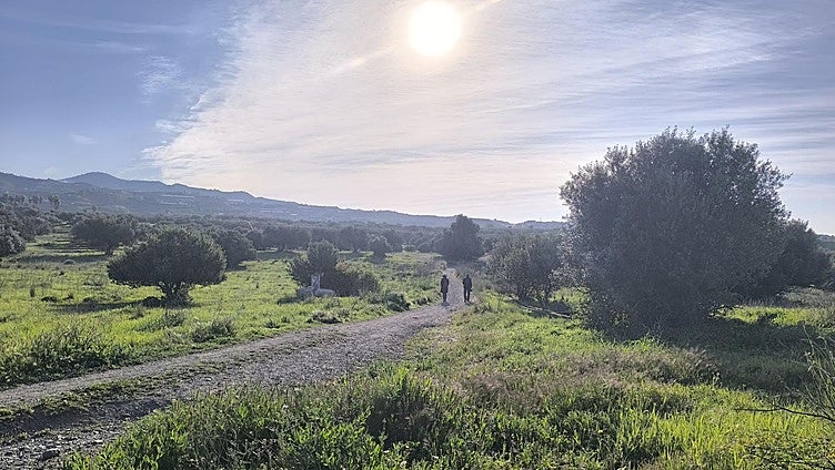 Cortijo de Poey: the little-known area of Vélez-Málaga that could be turned into a large park