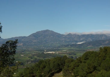 Government shelves Zalea solar plant project in Malaga after developer withdraws