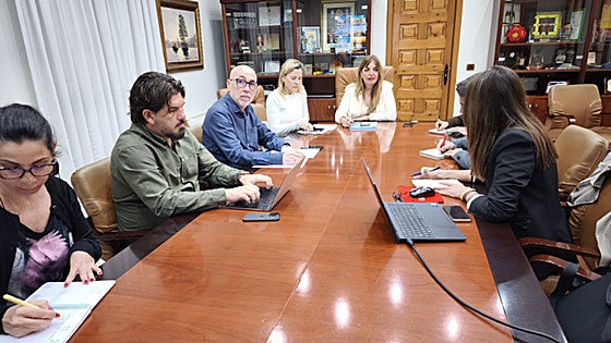 Benalmádena’s strategic plan progress reviewed by smart tourist destination monitoring committee