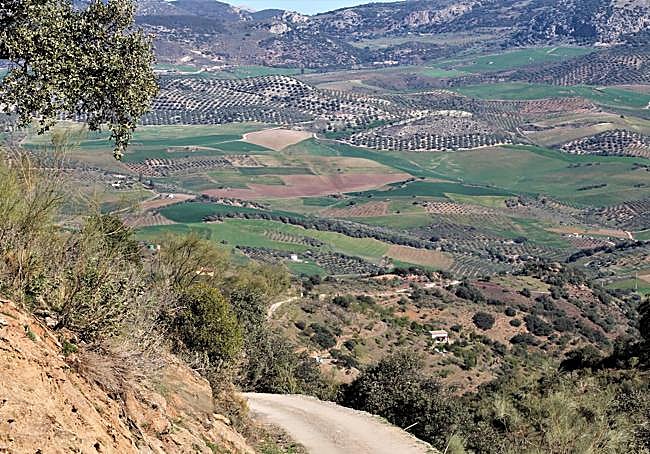 Subida a Cerro Mallén.