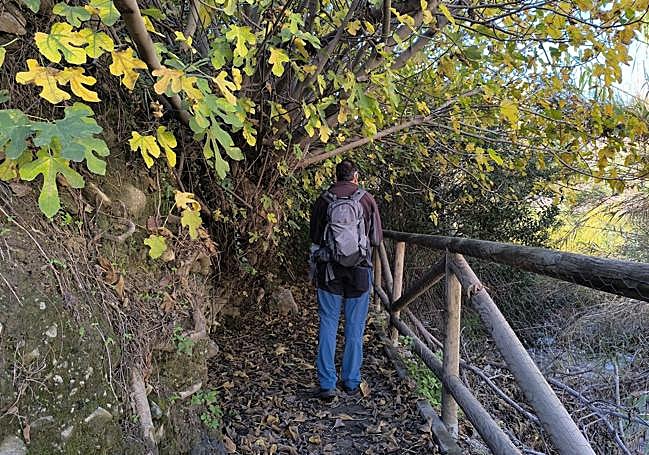 Sendero de los Molinos.