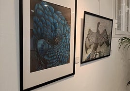 The collection includes 22 paintings by various local artists.