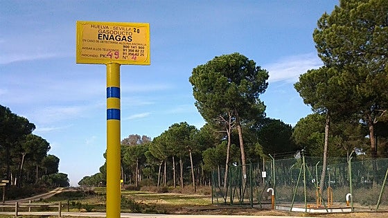 Spanish government authorises the dismantling of gas installations near Doñana National Park
