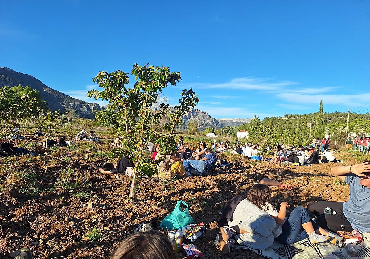 Imagen principal - Top: planting during the Sakuratón on Saturday; images from Sakura on Sunday