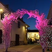 A street in Alfarnate decorated in cherry blossom