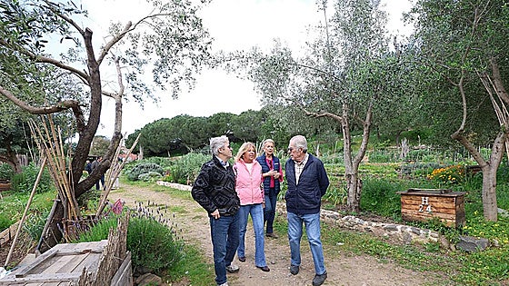 Marbella's urban gardens after 15 years of fostering community life and love for nature