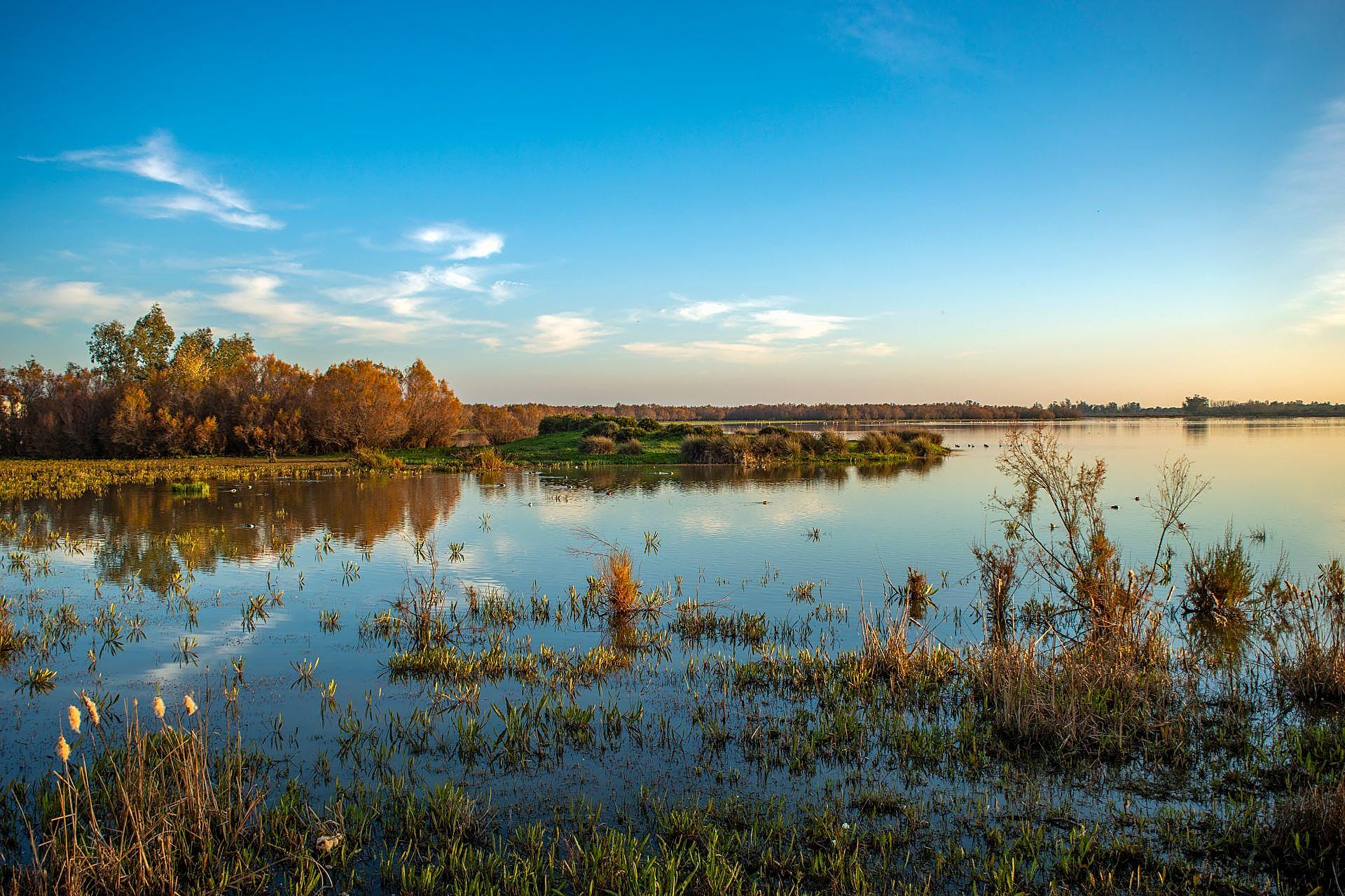 Doñana Park in pictures