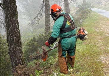 Mijas steps up forest fire prevention in lead-up to high-risk season