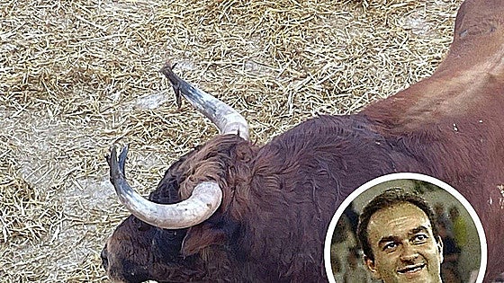 Investigation into Malaga bullfighter’s death: First person of interest summoned to court