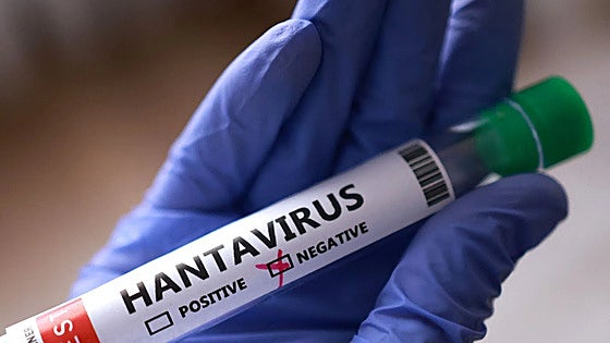 Spain hantavirus: two women under isolation in Alicante and Barcelona test negative