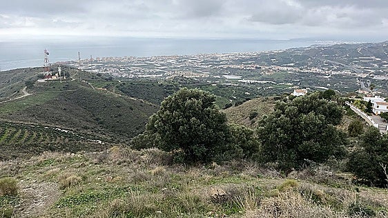 Political division over transport consortium in Torrox