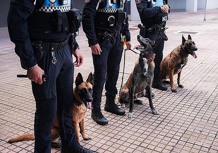 Urko, Nao and Gea pose with their canine guides of the Palencia Local Police.