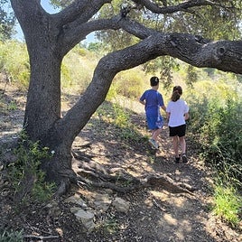 This trail is ideal to do with children.