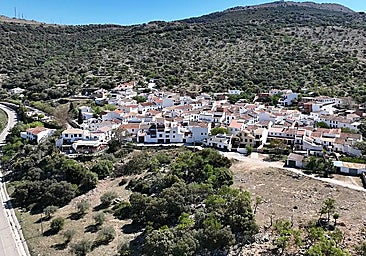 Axarquía village councillor's father dies in work-related accident