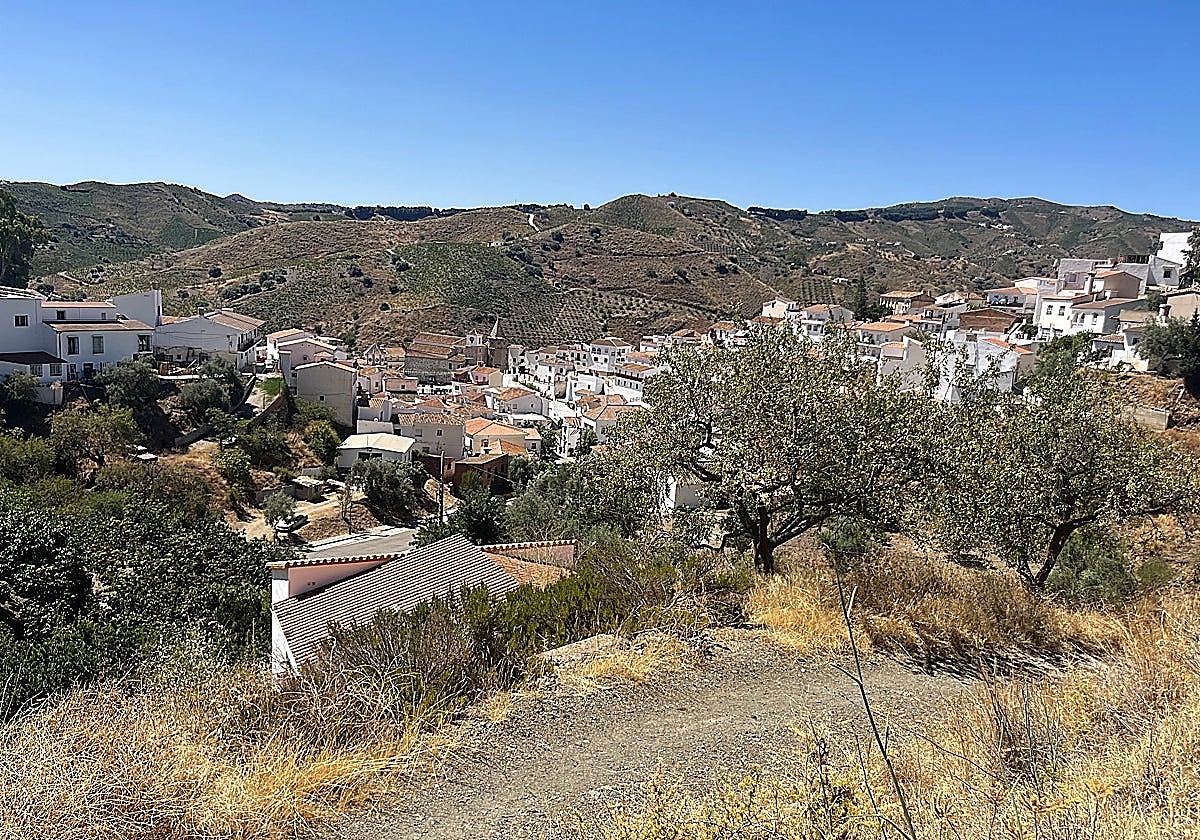 Malaga province town hall issues warning after colony cats shot