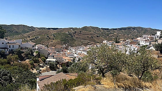 Malaga province town hall issues warning after colony cats shot