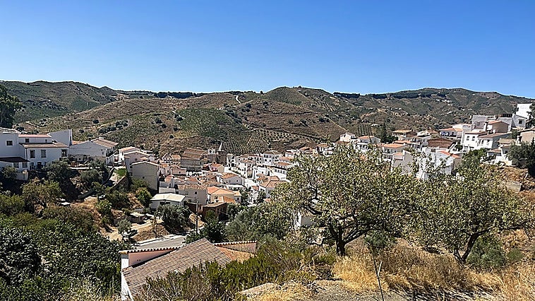 Malaga province town hall issues warning after colony cats shot