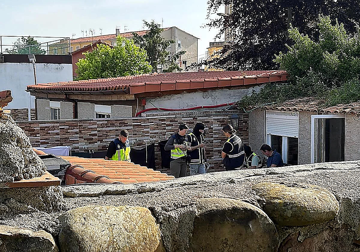 Historic anti-drug operation in northern Spain: 400 police officers, sniffer dogs and excavators