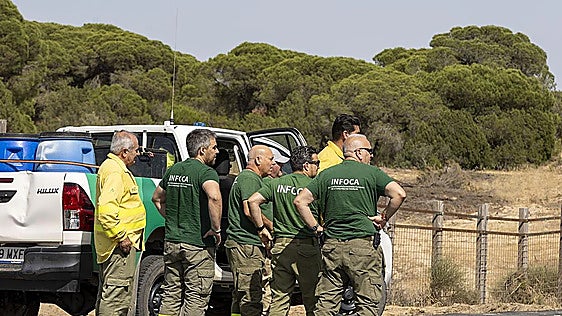 Fire at Andalusian National Park Doñana under control