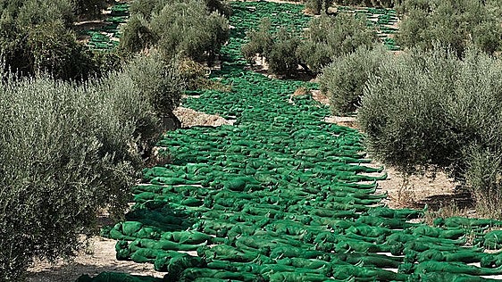 Spencer Tunick commissioned for major LGBT+ art installation on Gran Canaria