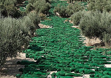 Spencer Tunick commissioned for major LGBT+ art installation on Gran Canaria