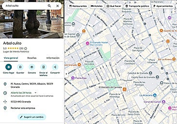 Granada's 'little bum' tree gets five-star rating on Google Maps