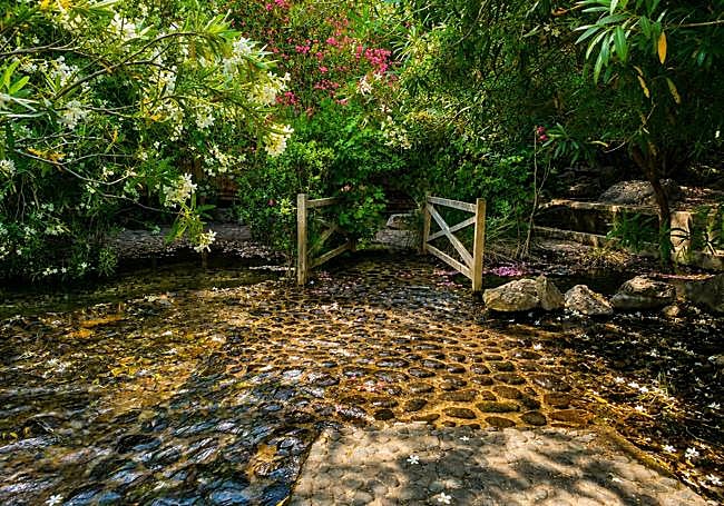 The source of Río Molinos, the starting point of the route