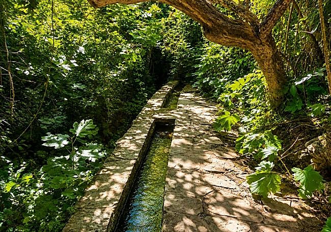 At the end of the stretch leading to the waterfall, where the vegetation makes it impossible to go further.