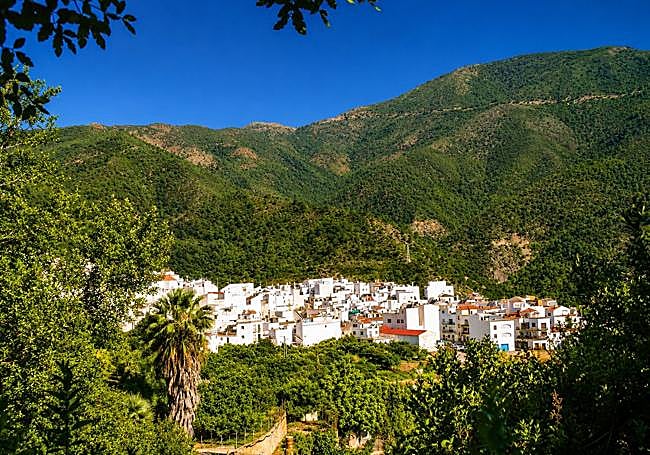 A view of Istán, just a few metres before reaching the end.