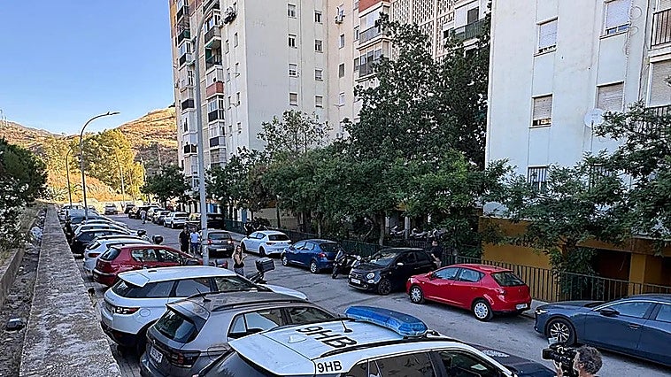 Vicky is Malaga's second gender-based violence fatal victim in 2026